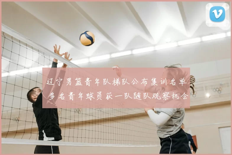 辽宁男篮青年队梯队公布集训名单 多名青年球员获一队随队观察机会