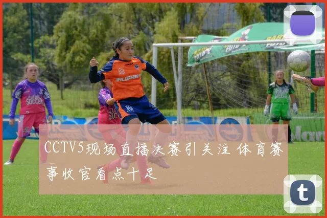CCTV5现场直播决赛引关注 体育赛事收官看点十足