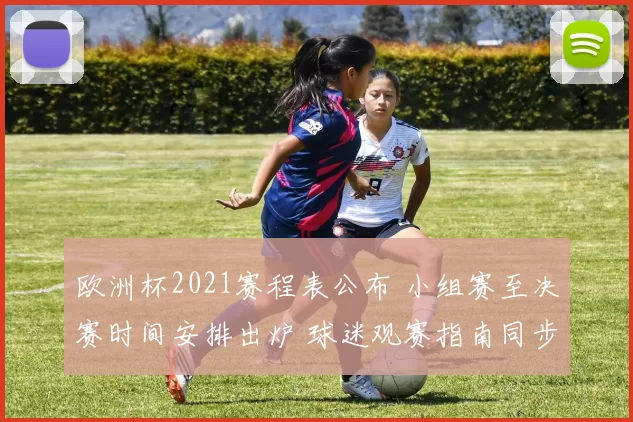 欧洲杯2021赛程表公布 小组赛至决赛时间安排出炉 球迷观赛指南同步更新